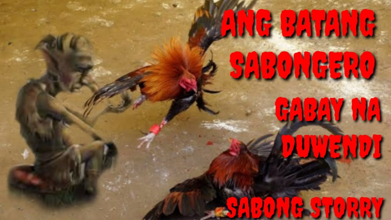 ANG BATANG SABONGERO MUTYA AT GABAY NA DUWENDE SAMANOK PART 1 TO 4