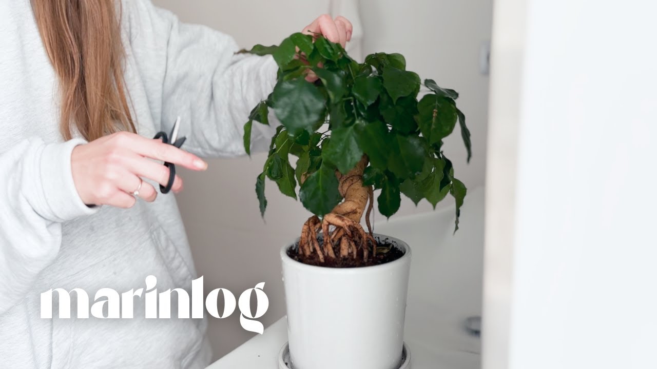 Silent vlog aesthetic | Simple home routine | Сleaning bathroom, plant care