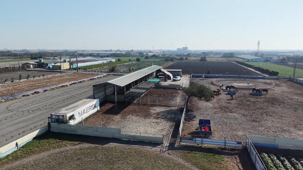 彰化芳苑 建平馬場