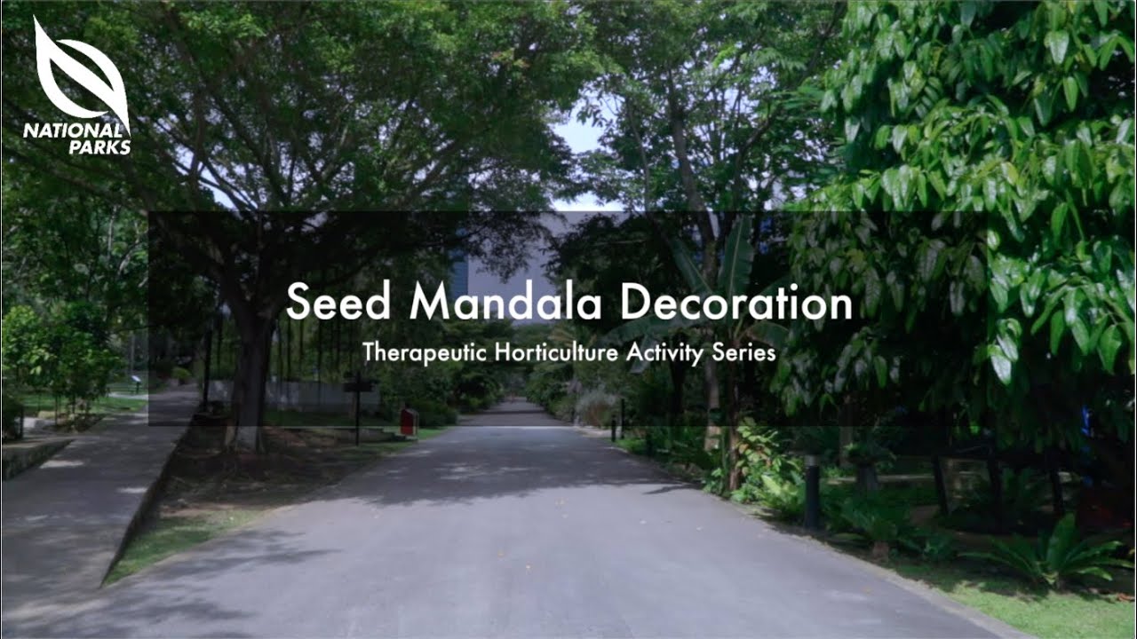 Seed Mandala Decoration