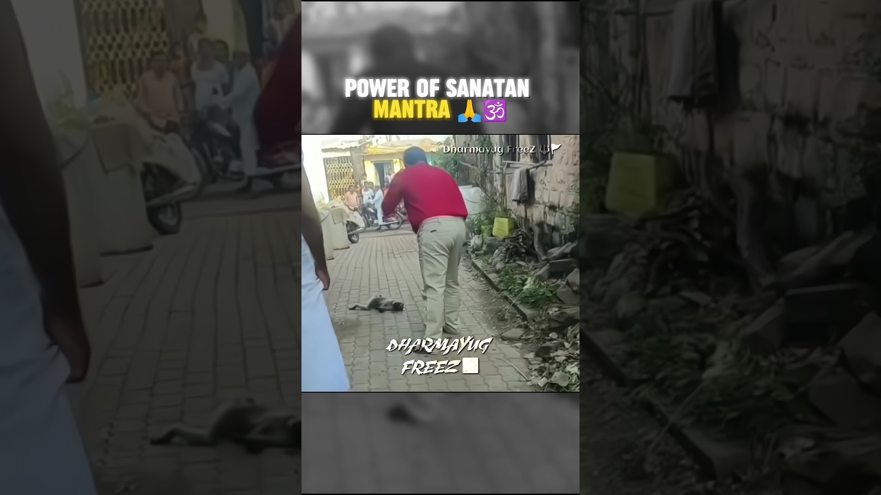 POWER OF SANATAN MANTRA 🙏🕉️ | WAIT FOR END 🔥 #shorts #sanatandharma #trending