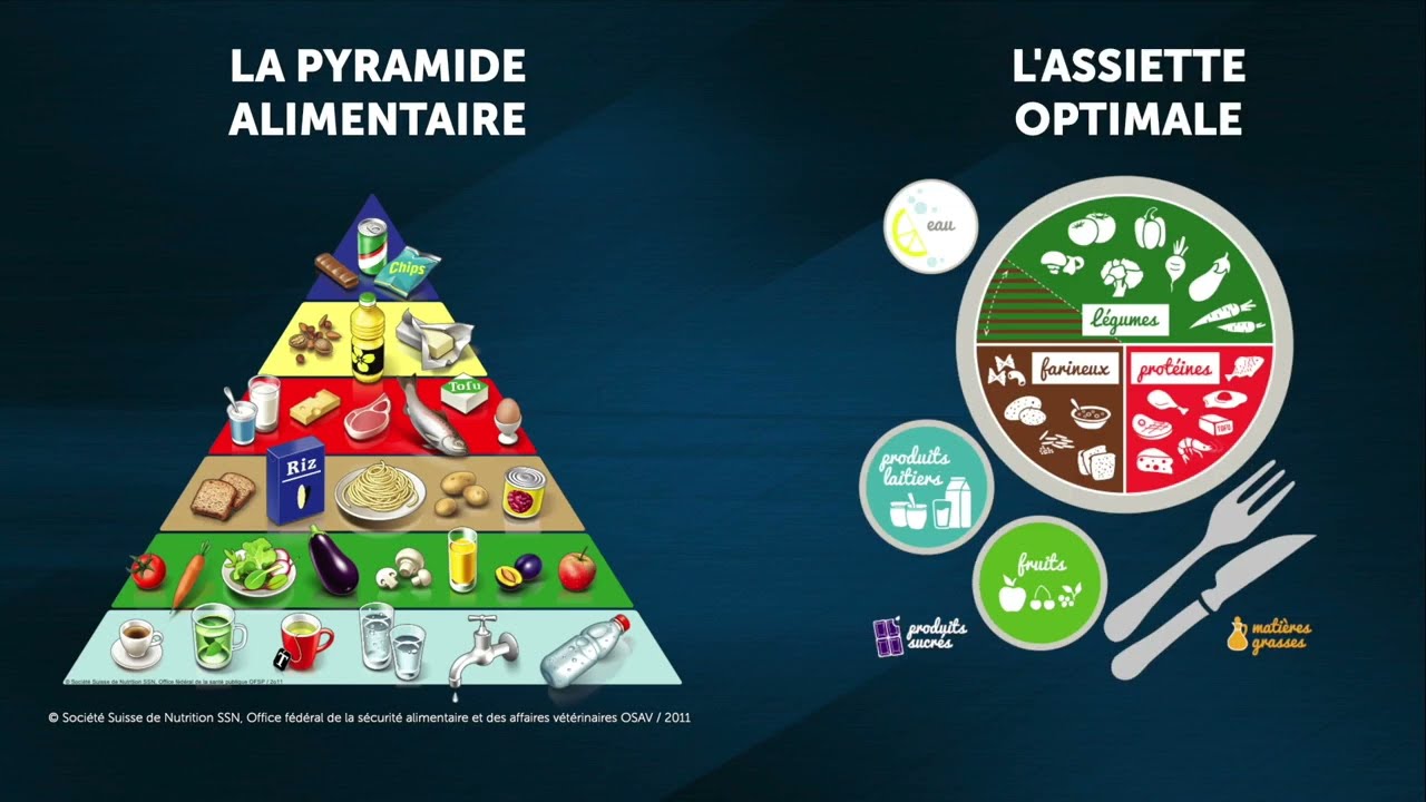Les groupes d’aliments & l’équilibre alimentaire