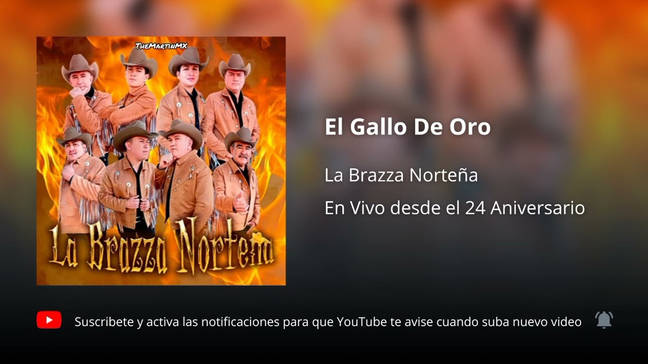 La Brazza Norte&ntilde;a - El Gallo De Oro (En Vivo - 24 Aniversario)