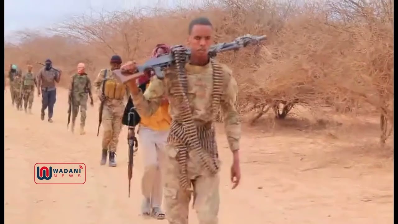 Wararka naga soo gaarayo Degmada Berdaale ayaa shegayaa ciidanka dulmadii  iyo AS oo is ku fasaarayn