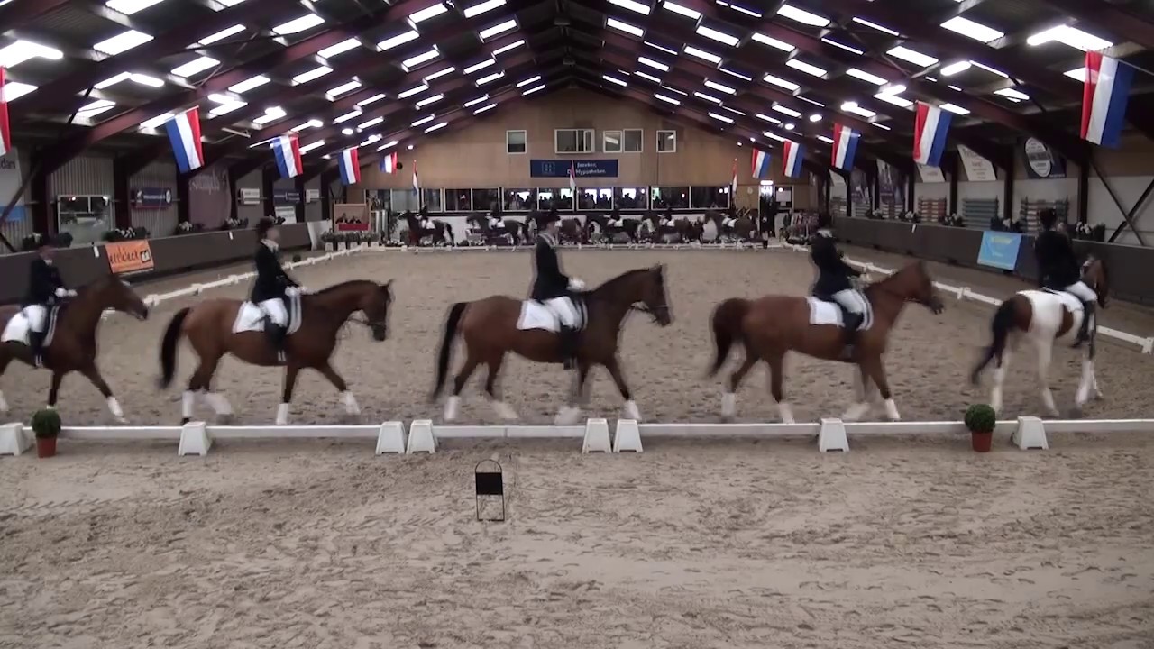 NK Carrousel 2012 B-Pool Paarden -  Carrousel groep Manege Vreehorst