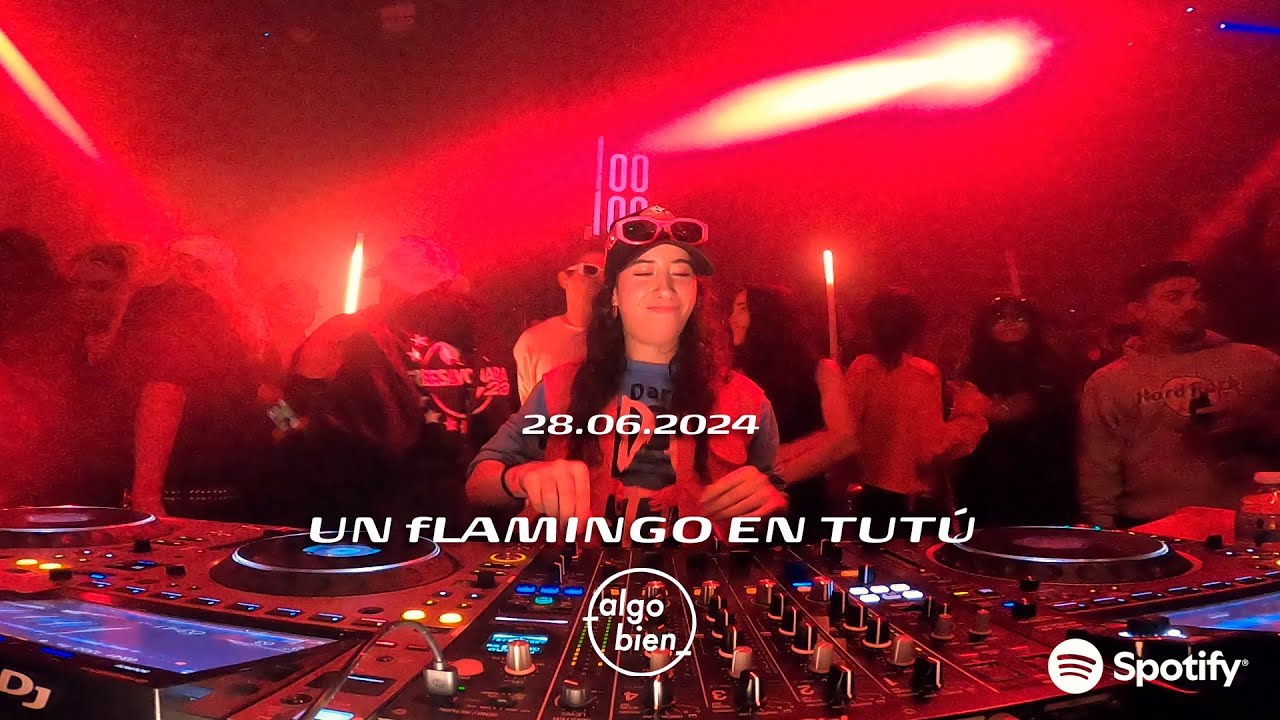 Flamingo en Tutú Algo Bien Pride (28.06.2024)