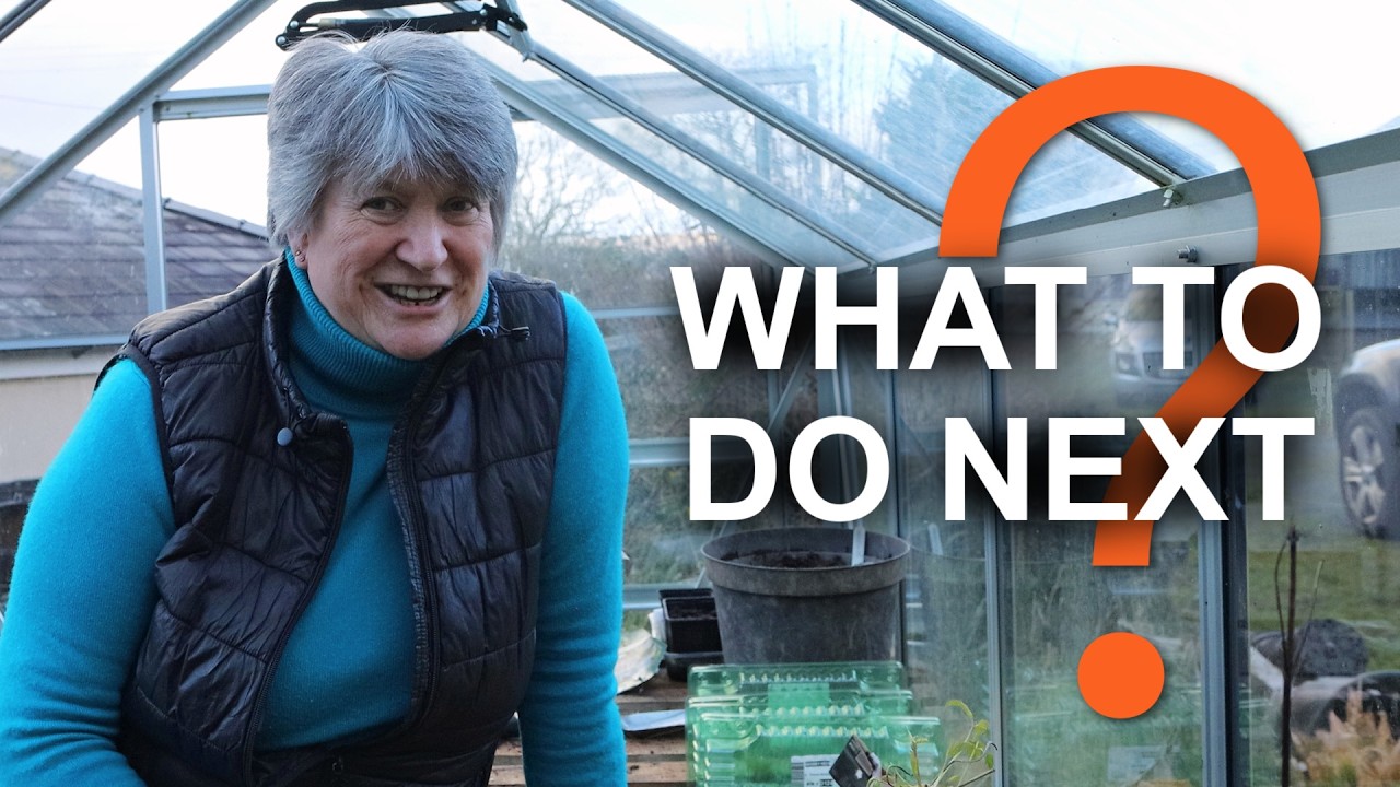 Mid March in the Garden | Real life gardening