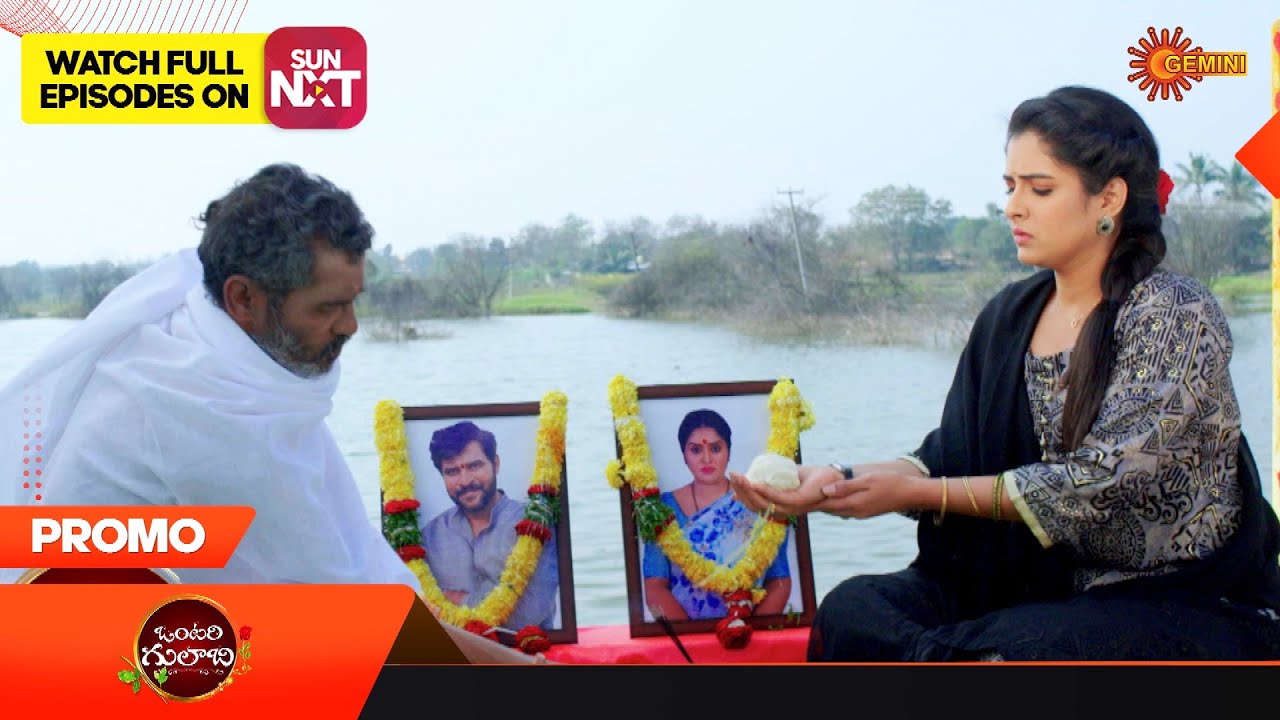 Vontari Gulabi - Title Song Promo | Mon -Sat at 7:30 PM | Gemini TV
