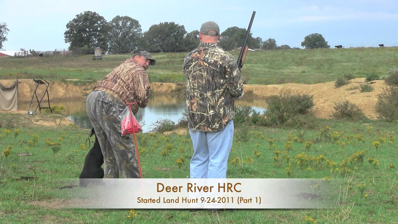 Deer River HRC Hunt Test- Started Land 9-25-11 Part 1.mov