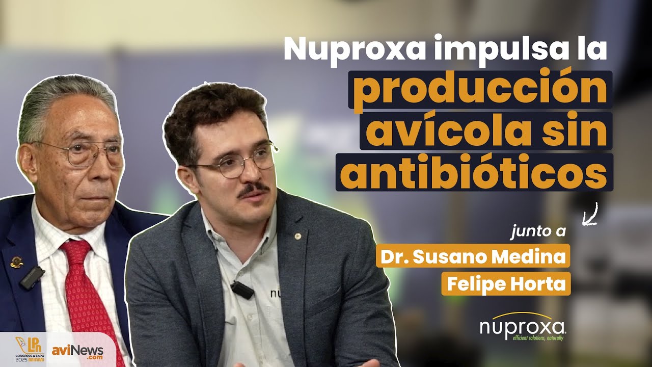 Nuproxa impulsa la producción avícola sin antibióticos: retos, beneficios y futuro de la industria