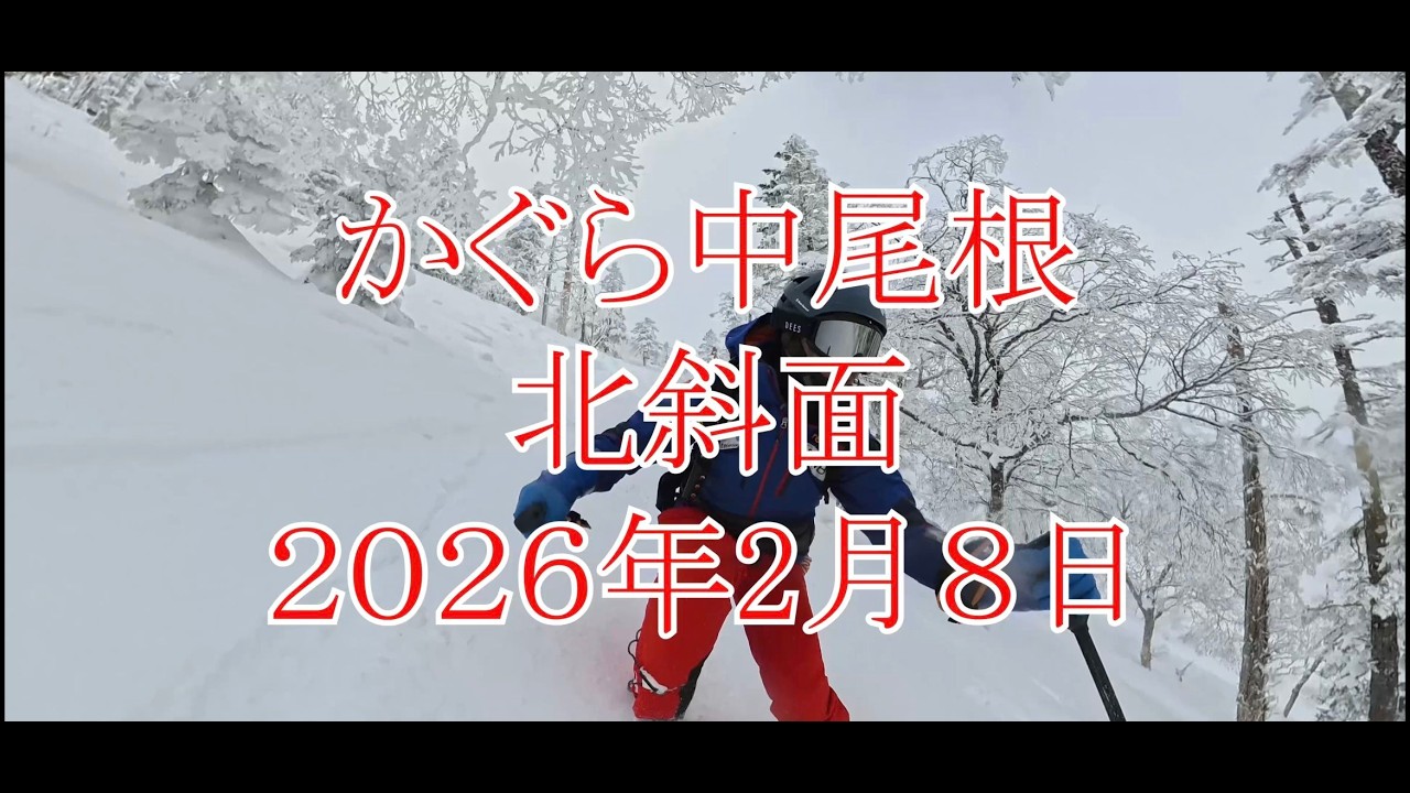 かぐら中尾根北斜面　２０２６年２月８日　insta360X5