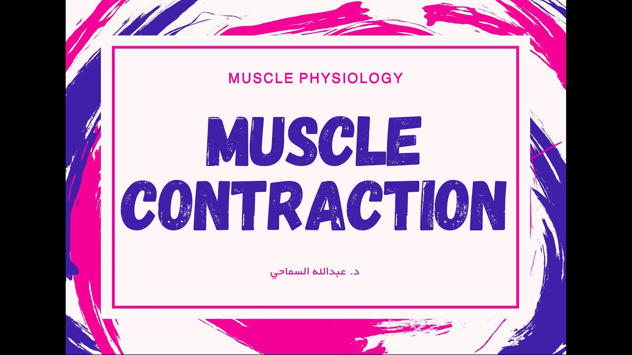 Muscle Contraction
