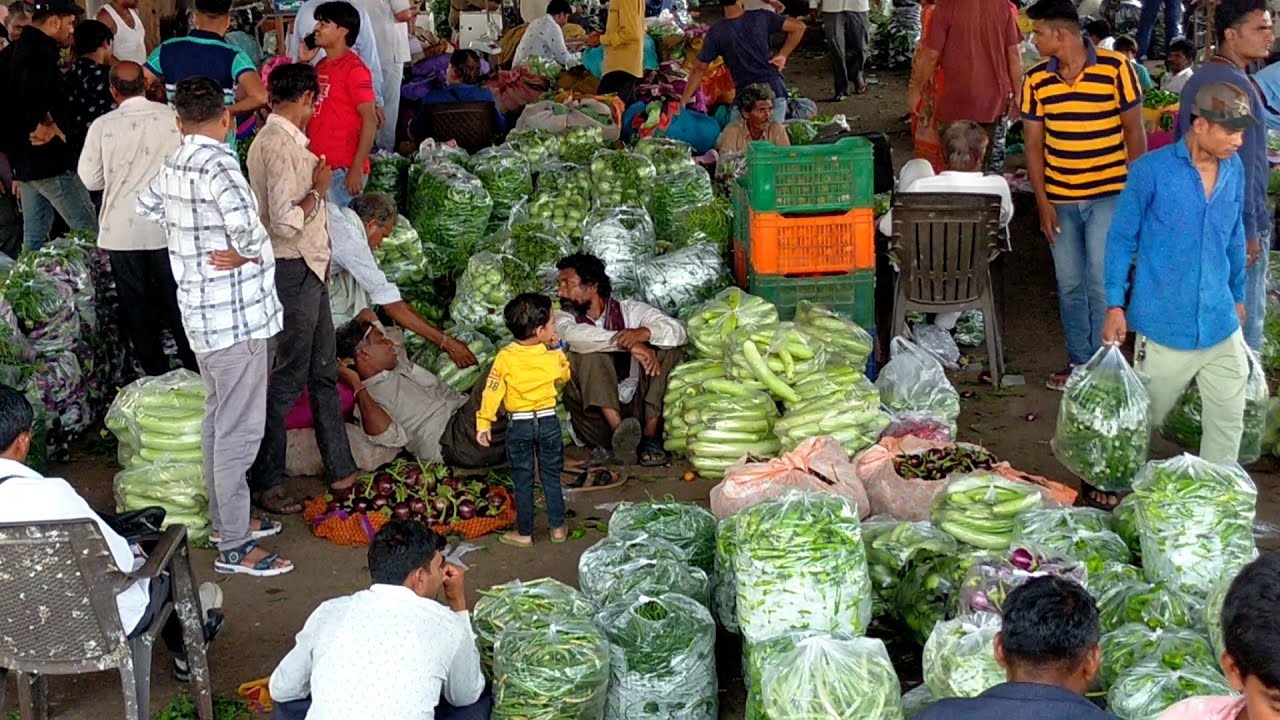 🔴 live green vegetable price in Rajkot market yard