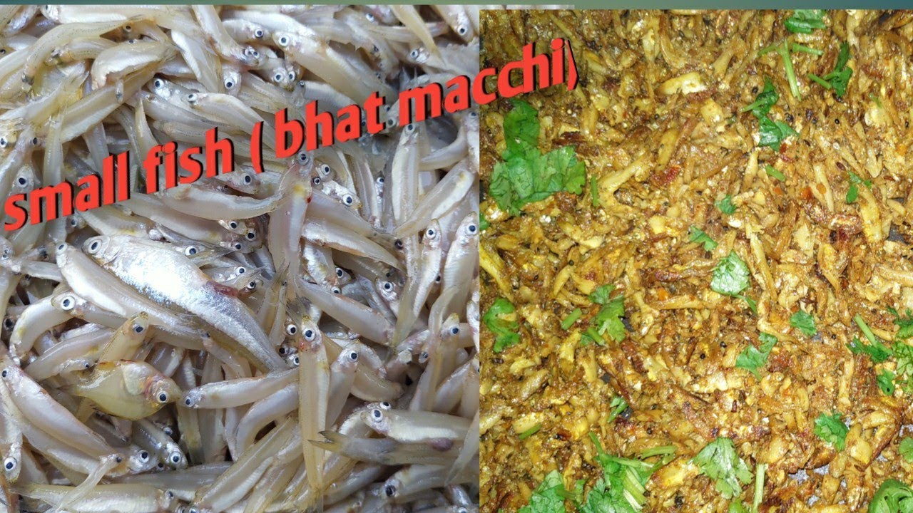 How to make small fish( bhat  macchi)| easy and tasty fish receipe