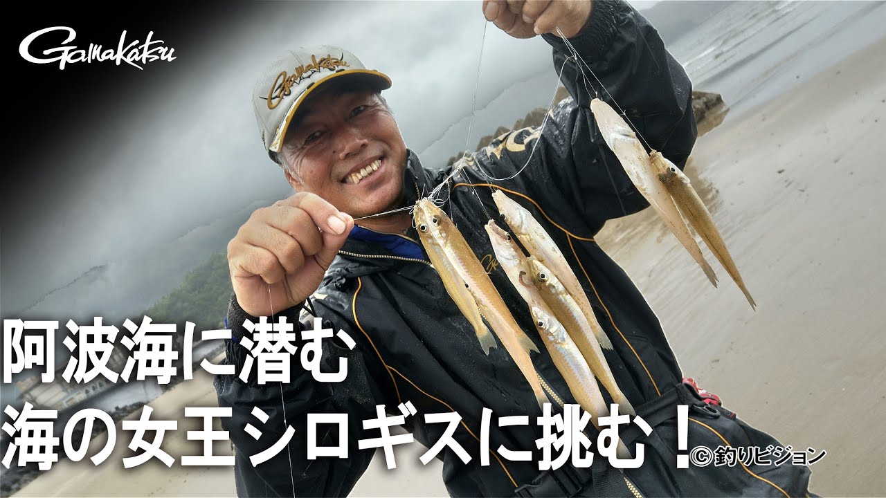 阿波海に潜む海の女王シロギスに挑む！【G WORLD #12】