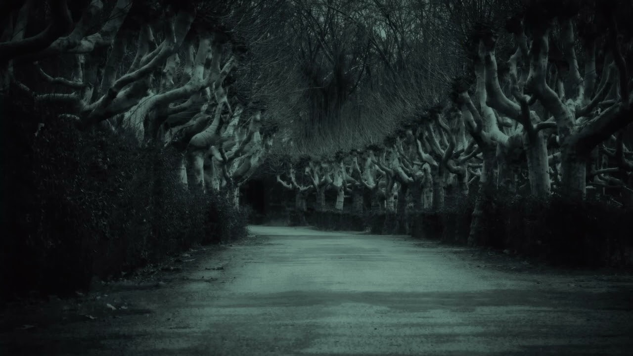 Creepy Forrest Halloween Sound Gruselig 46 Min Horror Wald