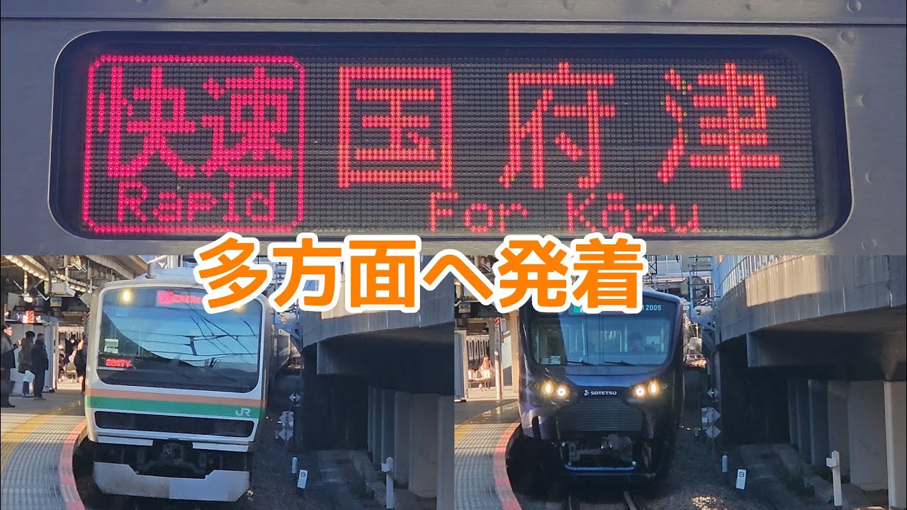 【多方面からの発着】日中の大崎駅　りんかい線・埼京線・湘南新宿ライン　発着シーン集