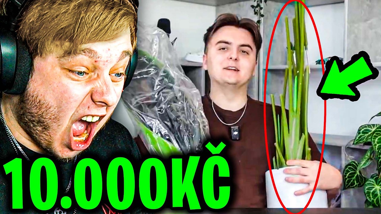 UTRATIL 10.000KČ ZA NEJVĚTŠÍ BLBOSTI Z TEMU...
