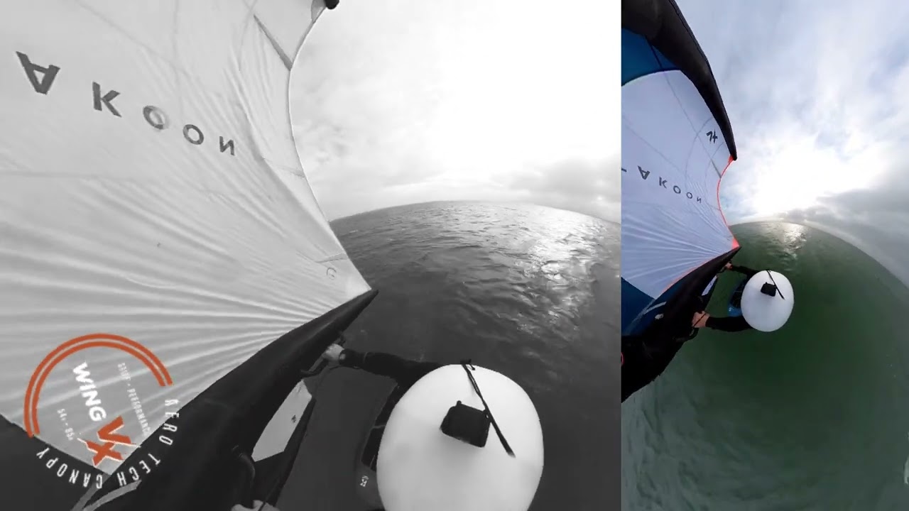 Takoon VX wing