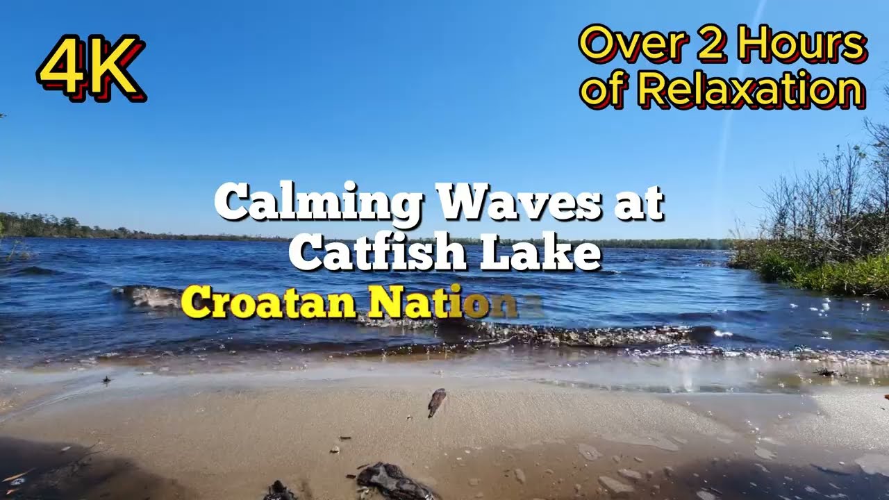 Lake of Tranquility - Croatan National Forest - 2 Hours of Calming Waves on Catfish Lake - Relaxing