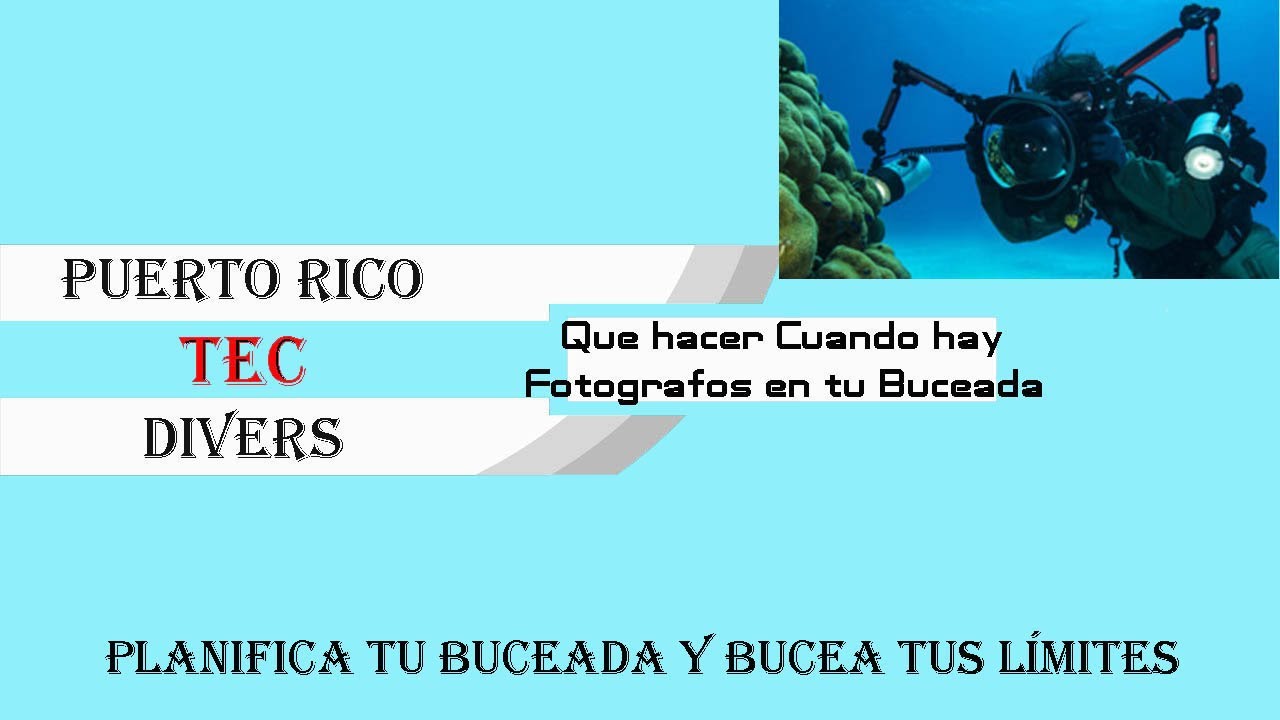 Que hacer Cuando hay Fotografos en tu Buceada