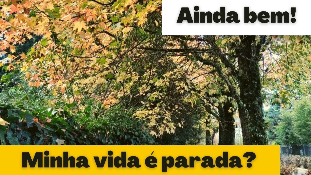 Minha vida muito parada | Morar na Serra Ga&uacute;cha