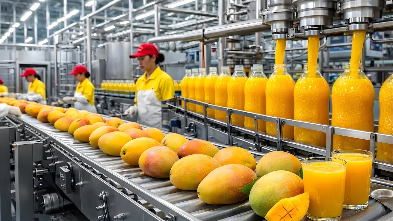 Inside Modern Mangoe Juice Factory | How Millions of Liters Are Made