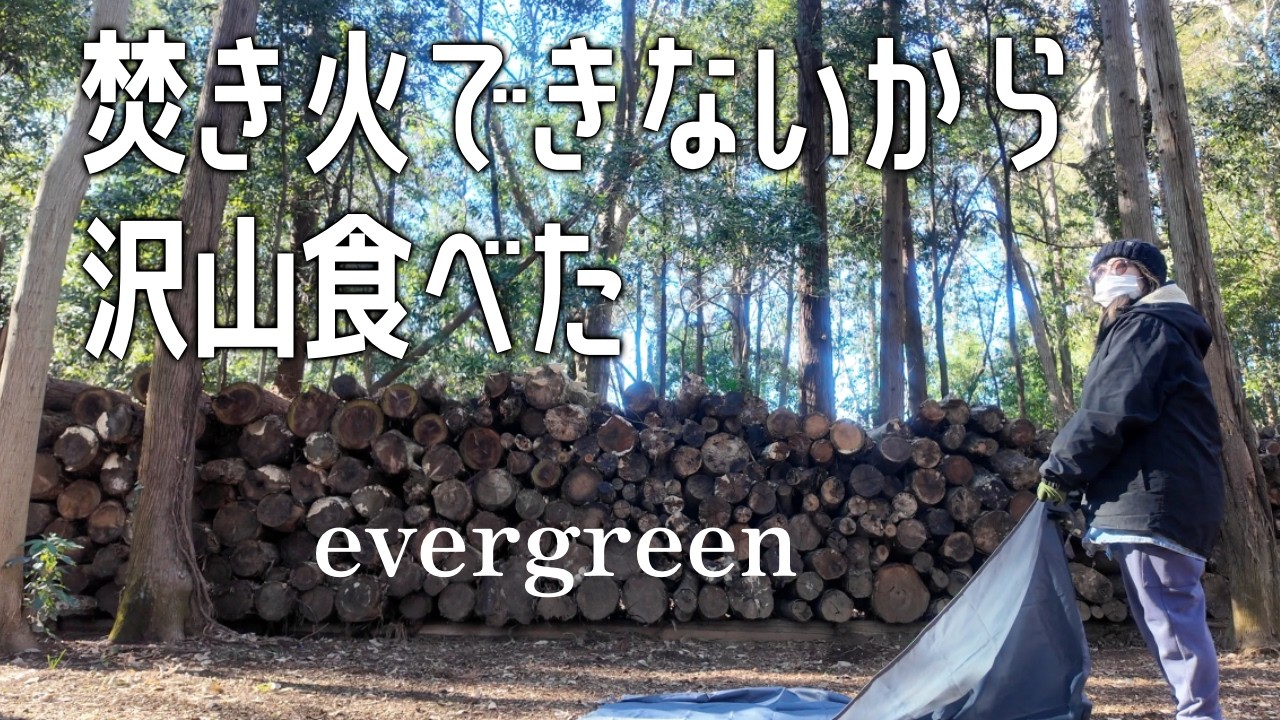 【4】食べすぎて、この後〇〇になった初心者キャンパー|車中泊キャンプ|ソロキャンプ|Evergreen