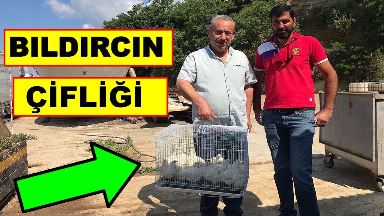 BEYAZ BILDIRCIN CENNETİ !