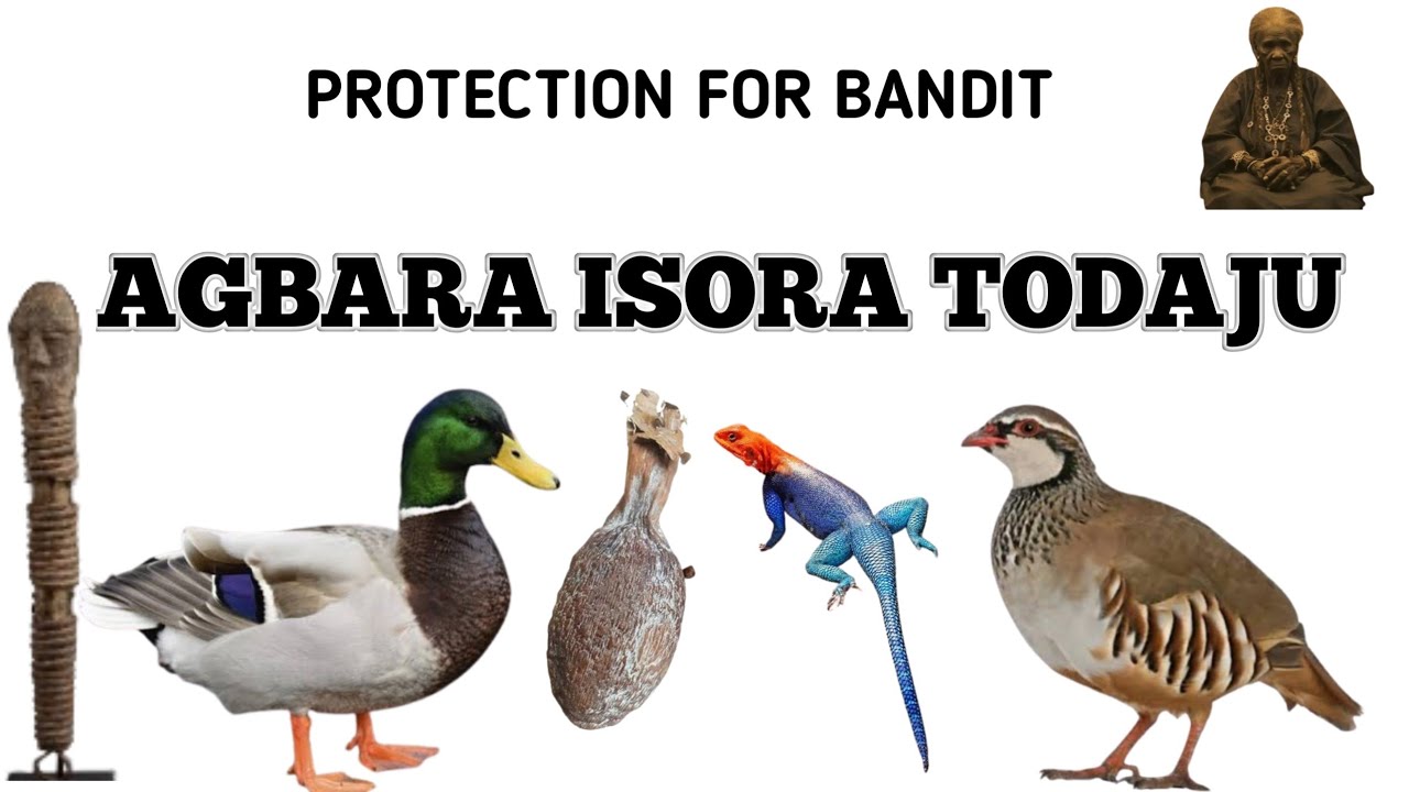 AGBARA ISORA TODAJU