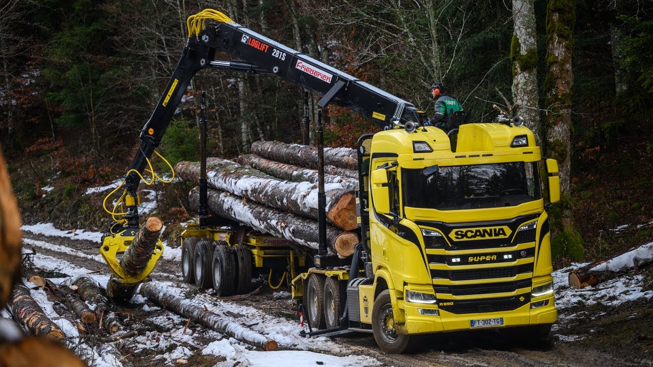SCANIA R650 V8 🚚💨 🌲 GRUMIER FRIEDERICH (TRANSPORTS ACHARD)