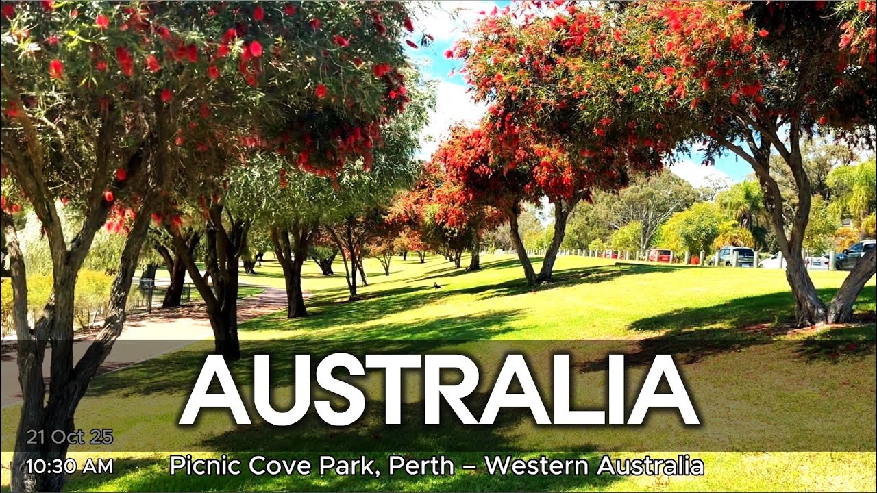 Perth’s Most Beautiful Park - Picnic Cove 4K Walking Tour Western Australia