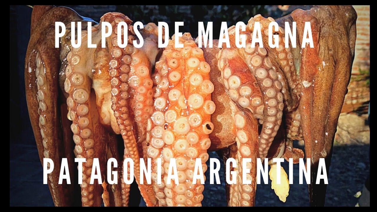 Pulpos Patagónicos - Playa Magagna - Rawson - Chubut