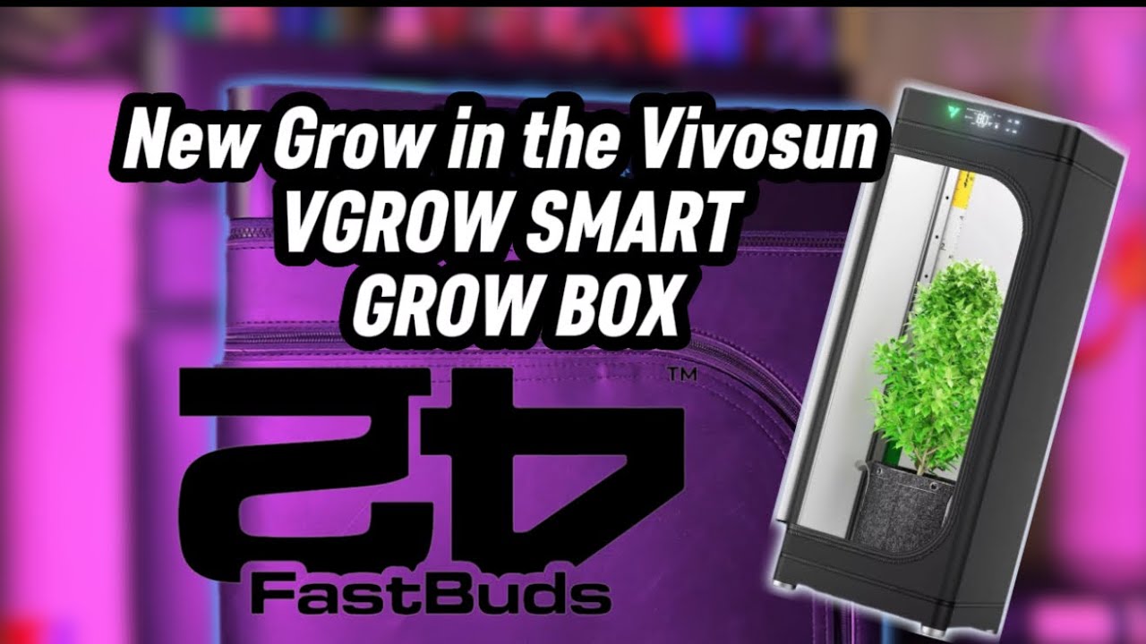 Update on my 2nd Grow in the Vivosun VGROW Smart Grow Box