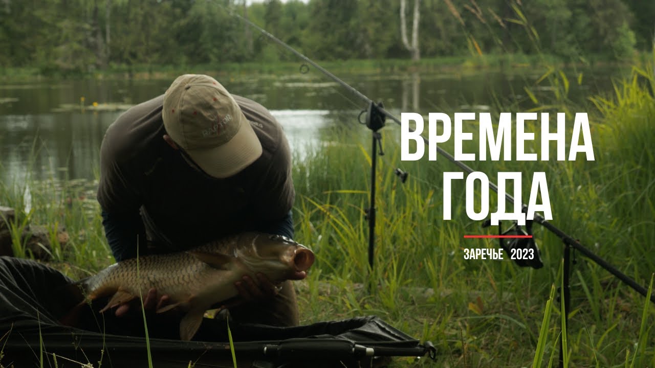 Ловля карпа в завоз. Весна. Лето. Осень. Заречье, 2023