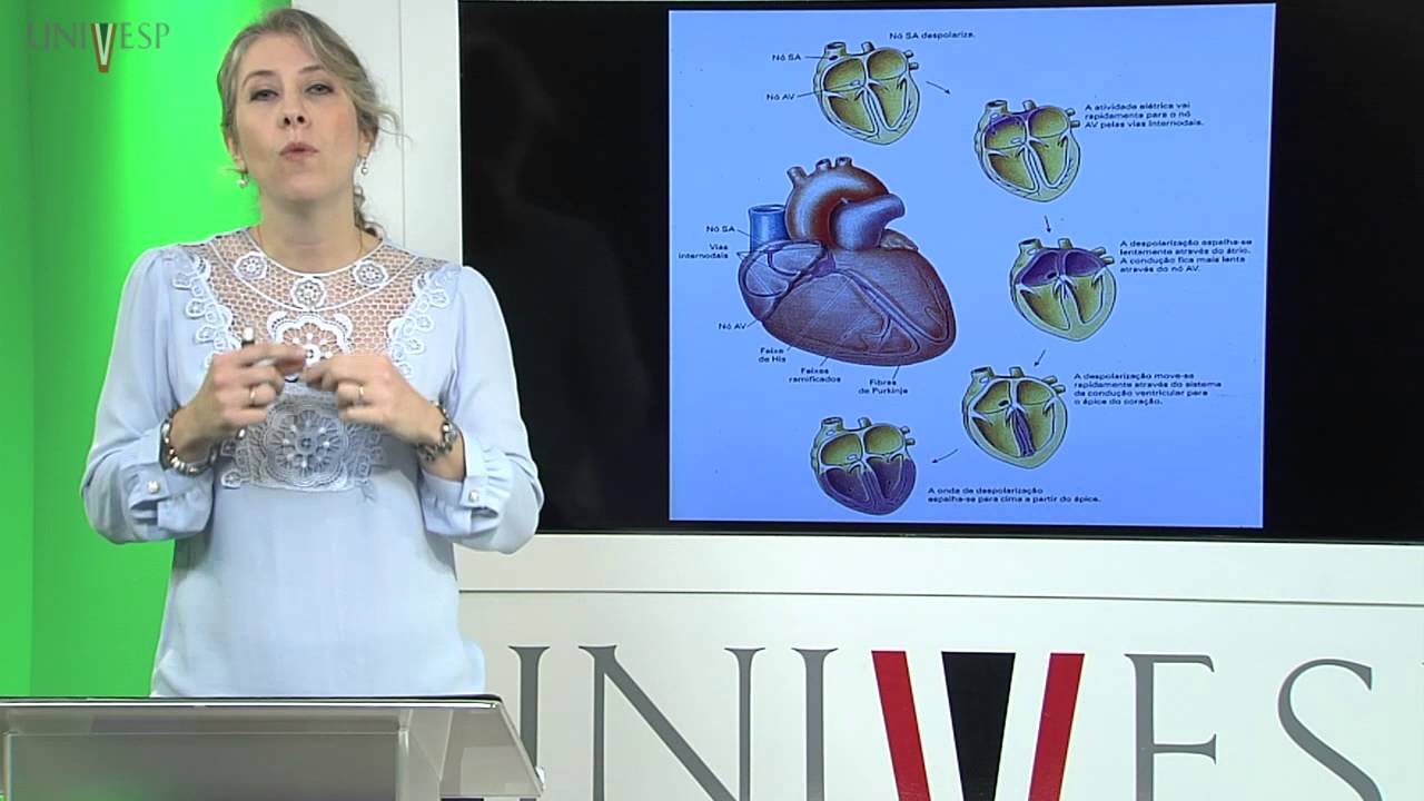 Corpo Humano: Órgãos e Sistemas - Aula 10 - Hemodinâmica e Ciclo Cardíaco