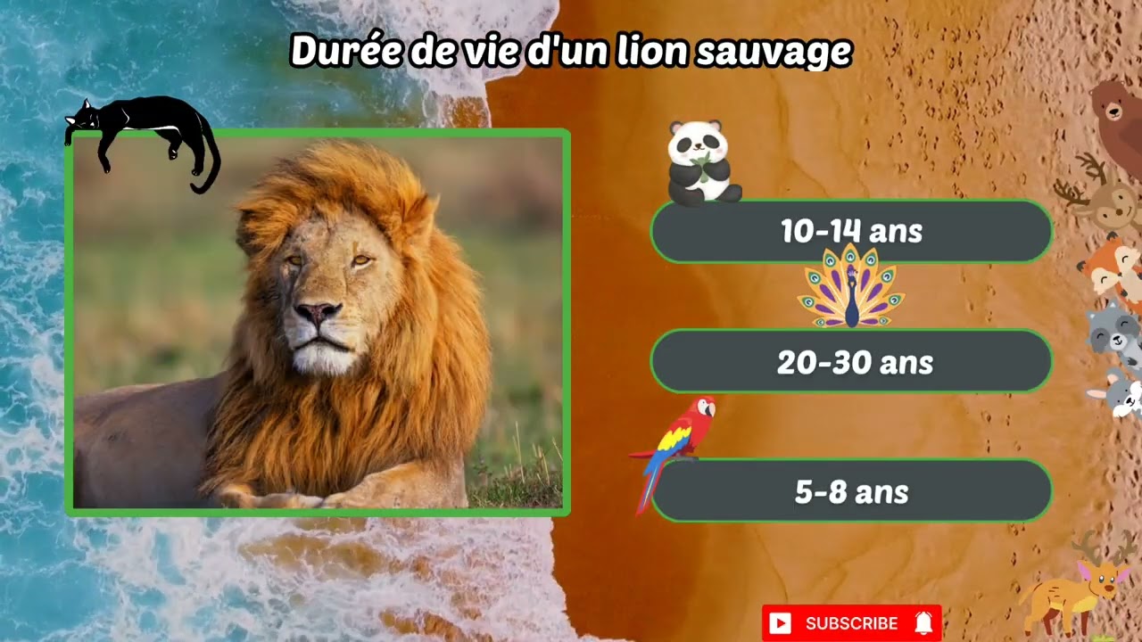 Quiz spécial animaux. Saurez-vous répondre ? 🤔