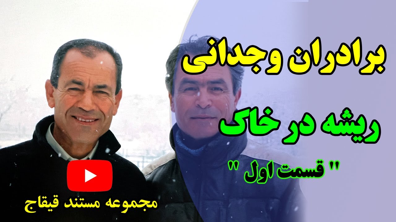 ریشه در خاک.