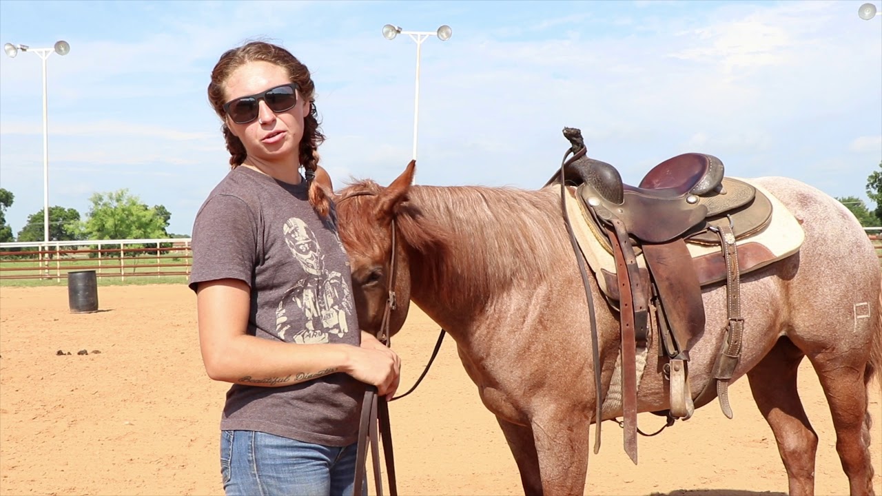 Barrel Horse Training Ground Drills