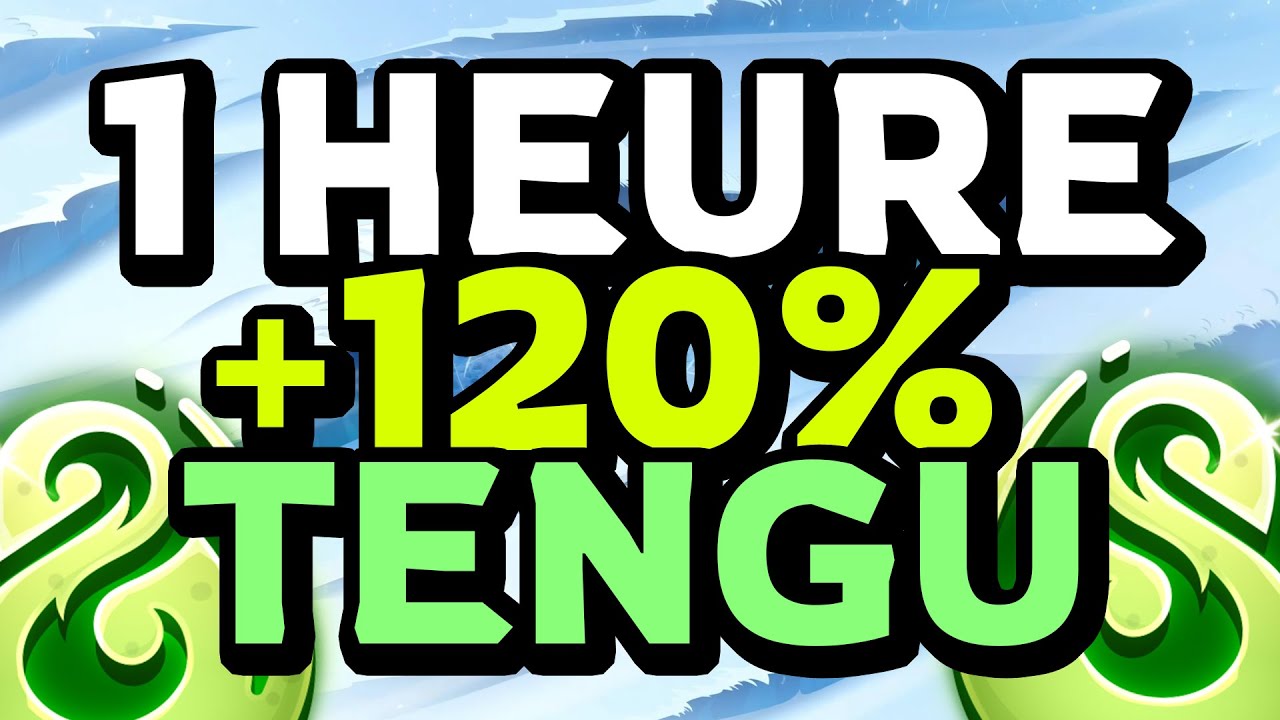 FARM TENGU & FUJI sur DOFUS 3 (Anomalie XP)