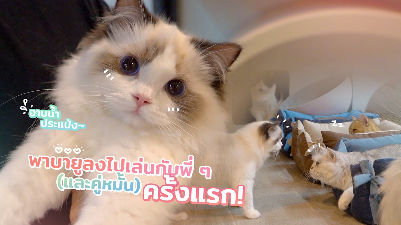 บายูอาบน้ำหอมๆ ก่อนลงไปเล่นกับพี่ๆเป็นครั้งแรก