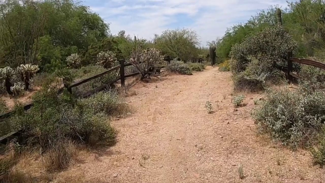 Desert Bike Ride