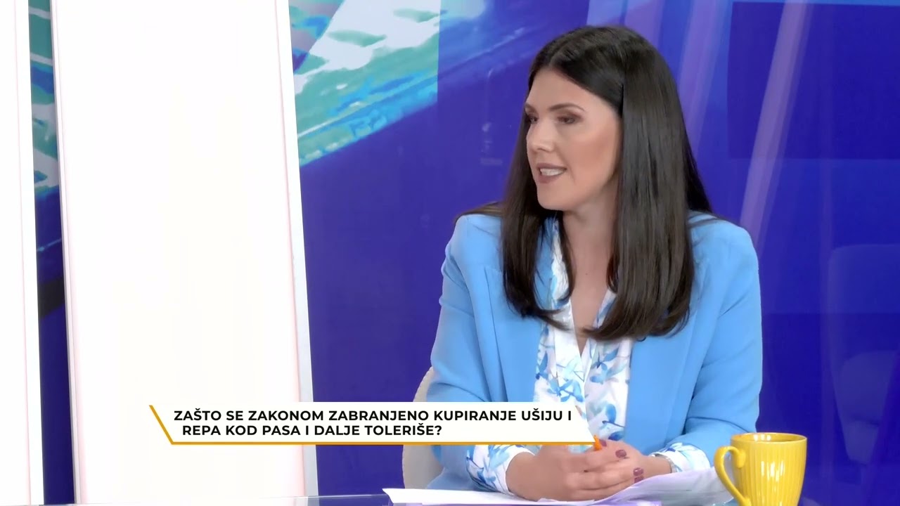 Rujna zora/ Zašto se zakonom zabranjeno kupiranje ušiju i repa kod pasa i dalje toleriše?