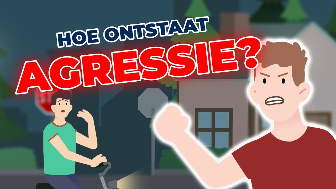 Hoe ontstaat agressie?