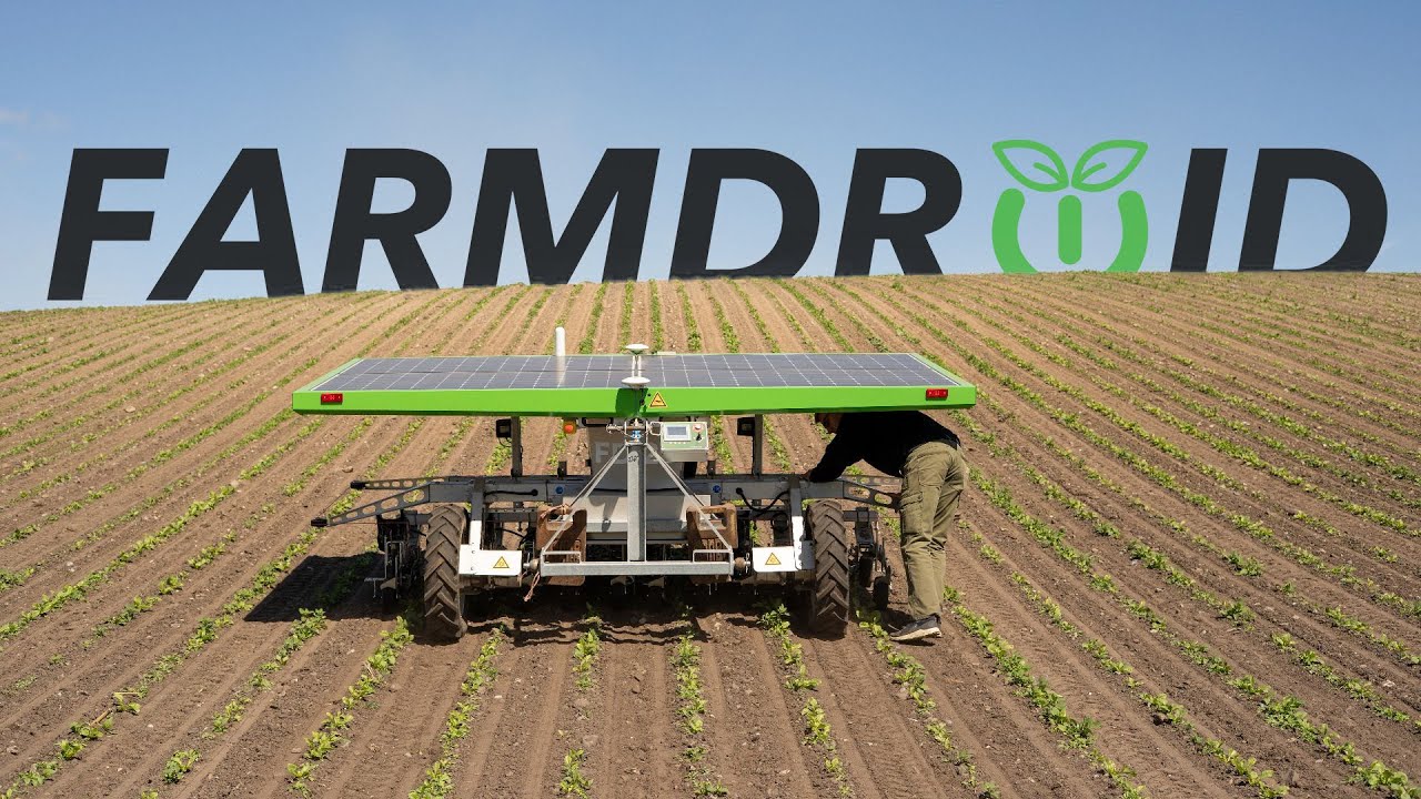 Tjele Gods: quadruples its robot fleet for organic fodder beets