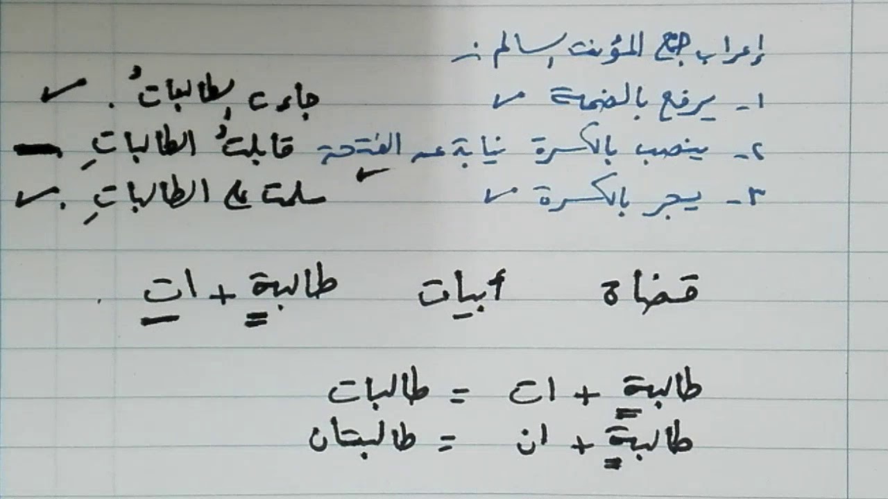شرح ألفية ابن مالك 17 جمع المؤنث السالم والملحق به