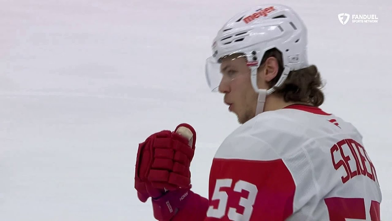 Moritz Seider 2024-25 Season Highlights
