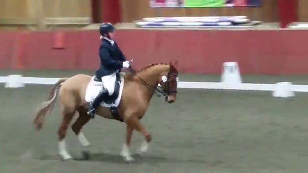 Advanced Medium Freestyle debut. Merrist Wood.