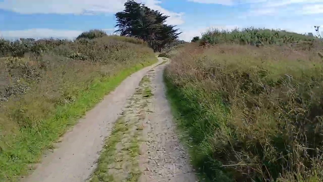Sur le sentier de la piste cyclable 