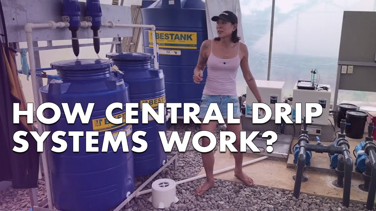 EVERYTHING about CENTRAL DRIP SYSTEM - King Tower Farm | Angie Mead King